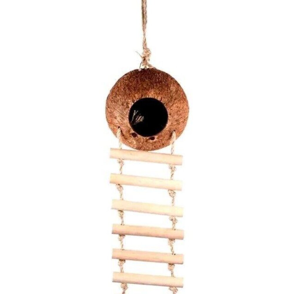 🐰🎉Hanging Coconut Hide With Ladder Perch Toy For Birds